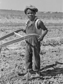 Sharecropper boy Image